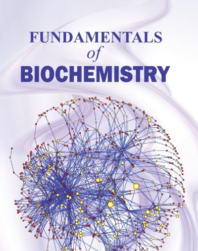 Workshop Image