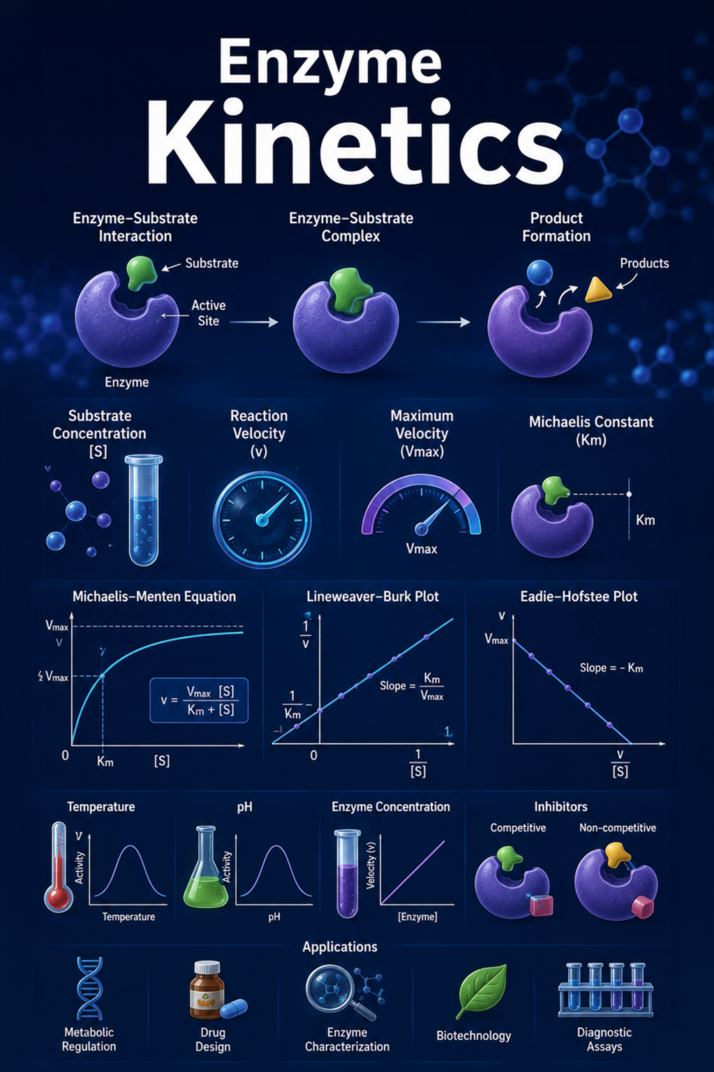 Enzyme Kinetics